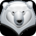 Polar Dash HD